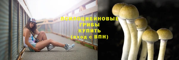 a pvp Алзамай